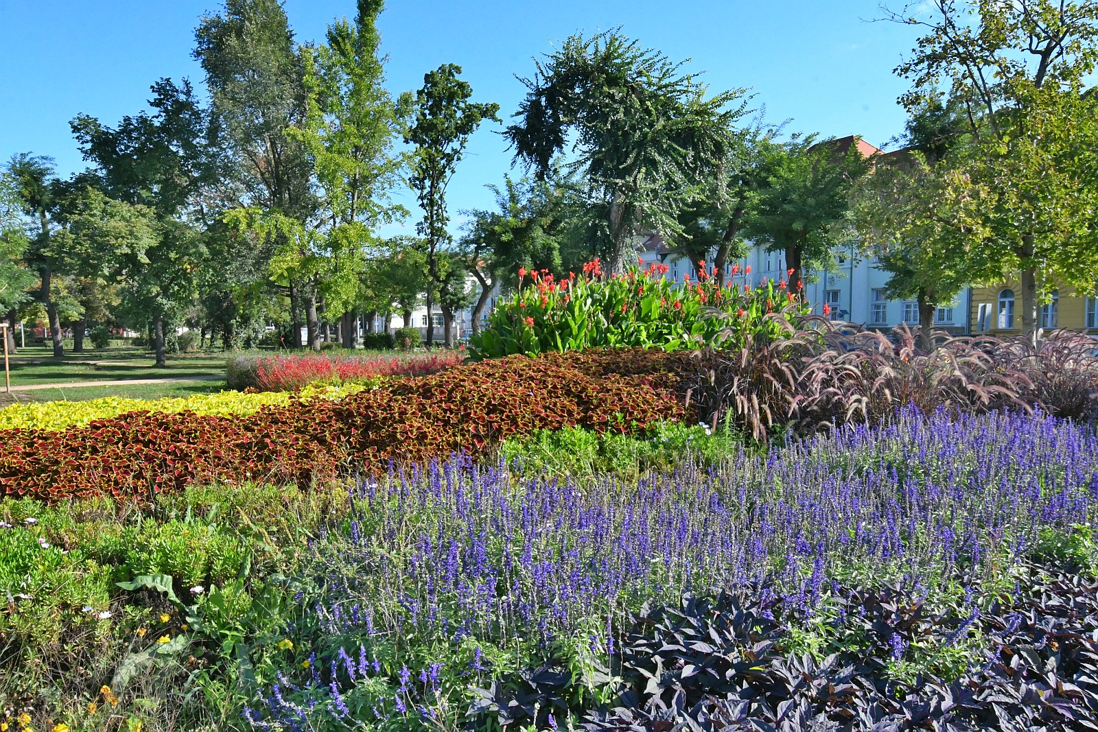 Őszi parkok szikrázó napsütésben Székesfehérváron szeptember utolsó hétfőjén